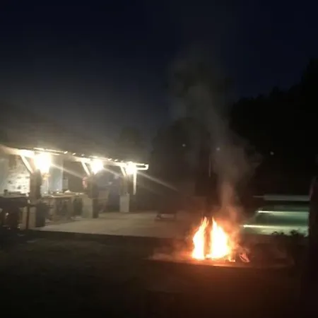 Entre Chevreuil Et Cerf *
