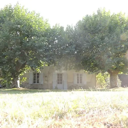 Entre Chevreuil Et Cerf Belin-Beliet
