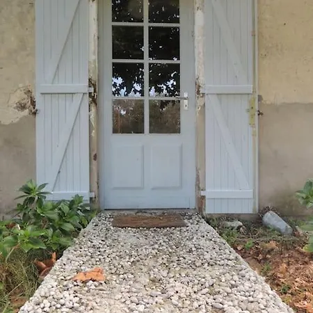 Entre Chevreuil Et Cerf *