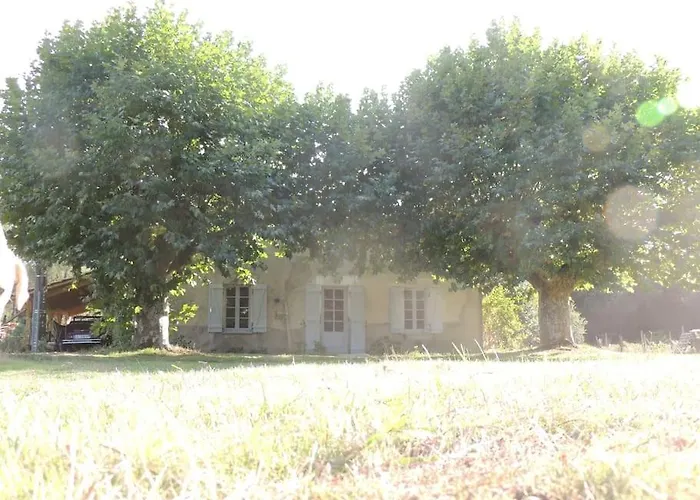 Entre Chevreuil Et Cerf Belin-Beliet