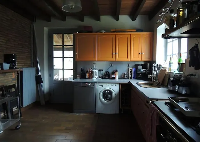 Entre Chevreuil Et Cerf * Belin-Beliet