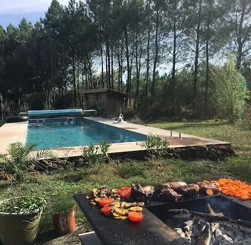 Entre Chevreuil Et Cerf * Belin-Beliet