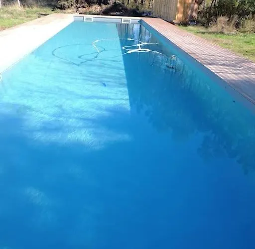 Entre Chevreuil Et Cerf Belin-Beliet