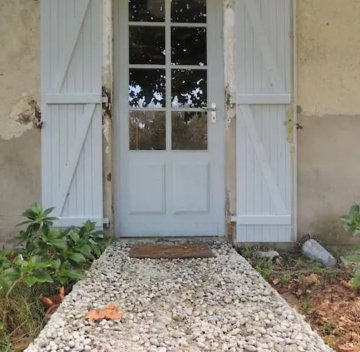 Entre Chevreuil Et Cerf *